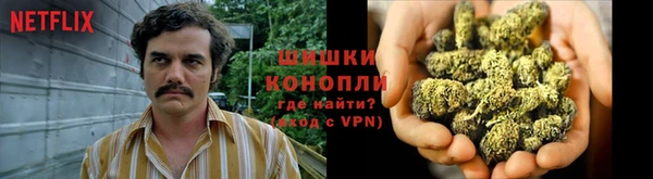сатива Балабаново