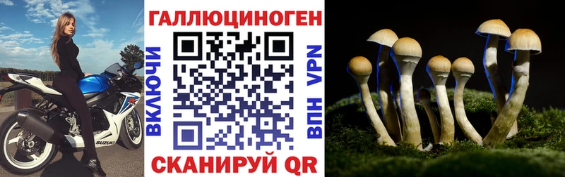 нарко площадка наркотические препараты  блэк спрут зеркало  Галлюциногенные грибы ЛСД  Высоцк  где купить  
