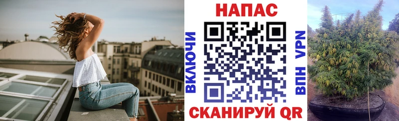 Каннабис планчик маркетплейс официальный сайт Высоцк